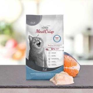 ɥ饤ա  ǭ եå10%OFF ǹ