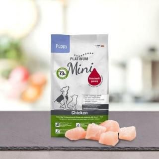 ɥ饤ա  γ /Ҹѡʥƥե꡼) 900g10%OFF ǹ