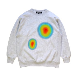 <img class='new_mark_img1' src='https://img.shop-pro.jp/img/new/icons5.gif' style='border:none;display:inline;margin:0px;padding:0px;width:auto;' />Thermography Sweatshirt (ASH)
