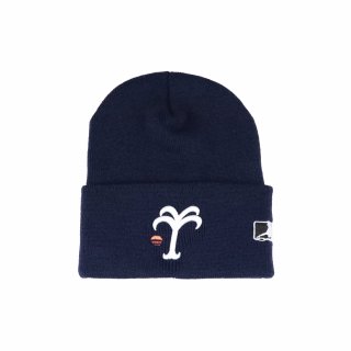 <img class='new_mark_img1' src='https://img.shop-pro.jp/img/new/icons5.gif' style='border:none;display:inline;margin:0px;padding:0px;width:auto;' />Relax-logo Cuffed knit cap (NAVY)