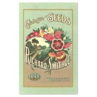 ͥƥ  Catalogue of Seedsڥ륹С