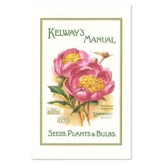 ͥƥ  Kelway's Manualڥ륹С