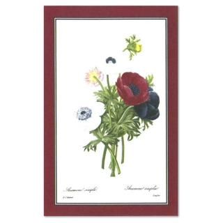 ͥƥ Floral Anemoneڥ륹С