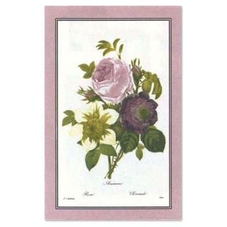 ͥƥ  Floral Clematisڥ륹С