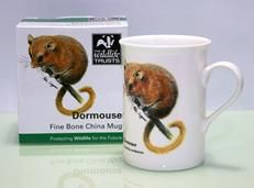 ޥåסͥDORMOUSEڥޥ͡
