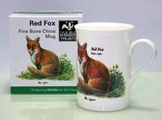 ޥåסĥFOXڥĥ͡