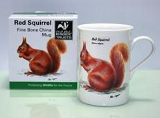 ޥåסꥹRED SQUIRRELڥꥹ