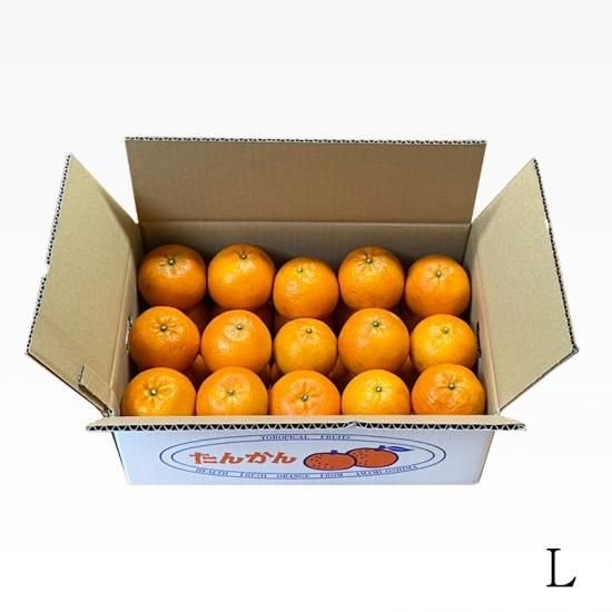 優品】奄美たんかん 5kg - （株）元井農園ホームページ
