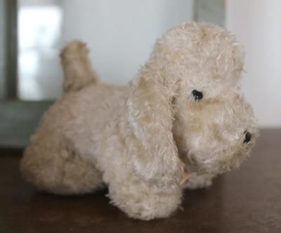 チェコ プードルみたいな白い犬 6 香川県高松市 ヨーロッパの古い雑貨とぬいぐるみのお店ーlottiー Onlineshop チェコ プードルみたいな白い犬 6 香川県高松市 ヨーロッパの古い雑貨とぬいぐるみのお店ーlottiー Onlineshop