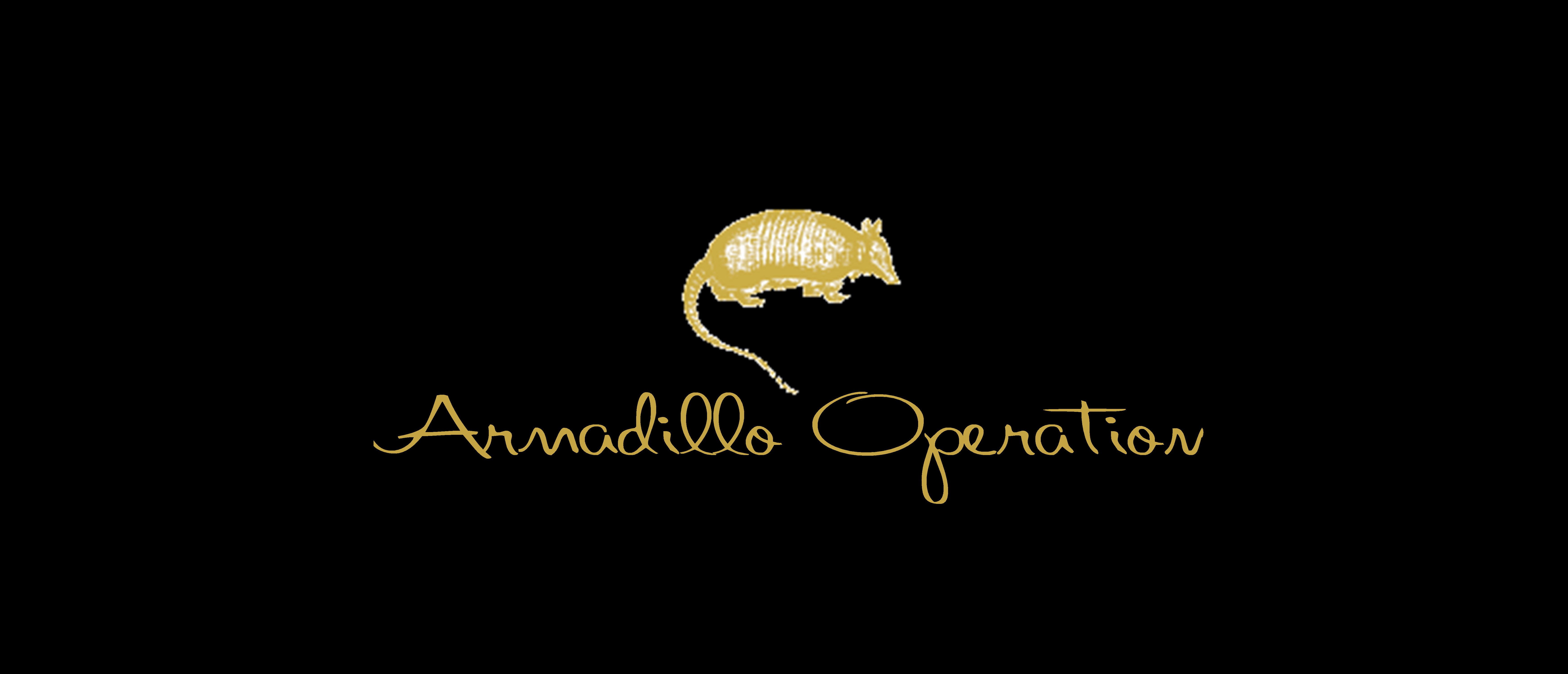 マニ車(摩尼車) - 西洋東洋古民具専門Web-Shop Armadillo Operation ー