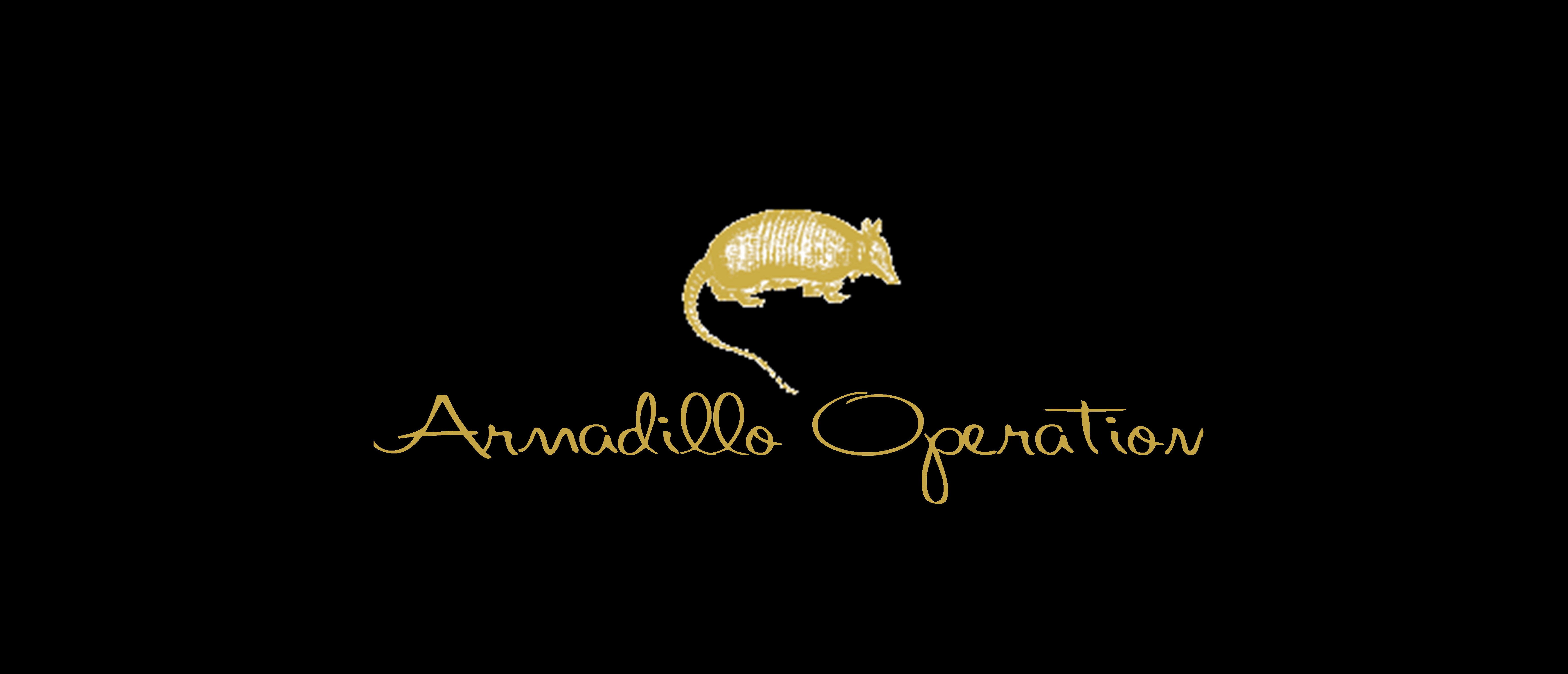 θ̱Web-Shop Armadillo Operation  َώގ ͎ߎڎ 