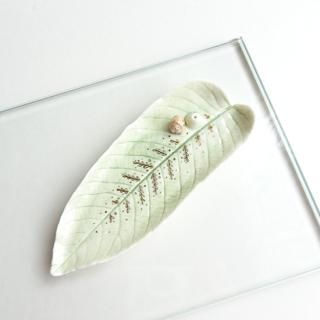 <img class='new_mark_img1' src='https://img.shop-pro.jp/img/new/icons2.gif' style='border:none;display:inline;margin:0px;padding:0px;width:auto;' />ecl014 ȥ˥ LauraμŻ դäѤξ˥ϥͥߤ礳Ȥ롢Ω