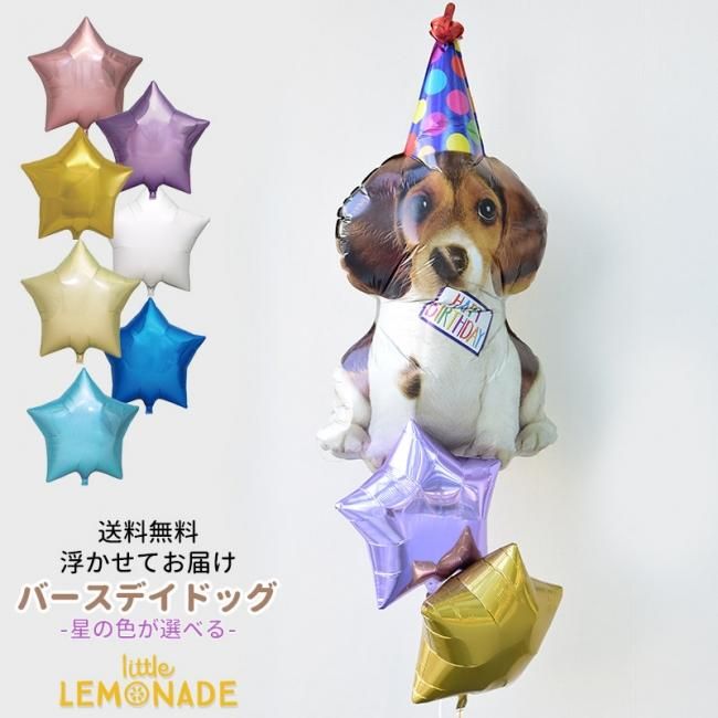 送料無料 浮かせてお届け バースデイドッグ いぬ スターのバルーンブーケ 誕生日 ペットのお祝い ワンちゃん 誕生日 Dog 犬 イヌ 星 贈り物 ヘリウムガス入り メッセージ付 飾り バルーン電報 あす楽 リトルレモネード