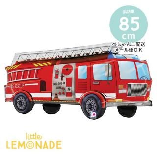 ɼ Х롼  ڤڤ󤳤ǤϤ  ʤ ե (BLT25464)