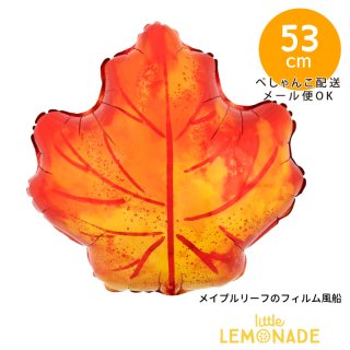ڥʤ۹եǥΥե 18 ߤ  ᥤץ꡼  Autumn ڤ󤳤ǤϤ thanksgiving Х롼  ̵ ᡼ز (41996)
