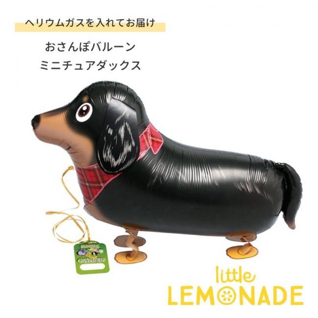 お散歩バルーン ミニチュアダックスフント ヘリウムガス入り おさんぽ