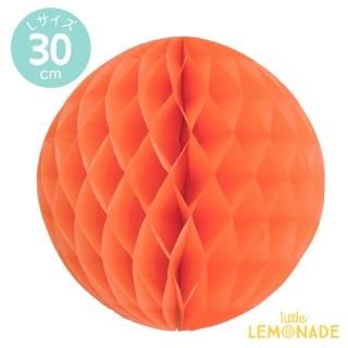ꥫ ϥ˥ܡ  30cm4åȤޤǥ᡼ȯġۡڥϥ