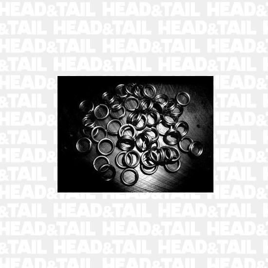 カーペンター強化スプリットリングプラス10個入り - HEAD & TAIL