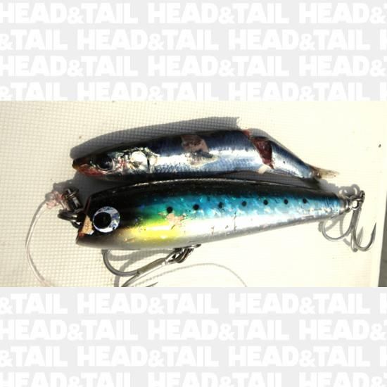 モグラッパー130 - HEAD & TAIL Web Shop