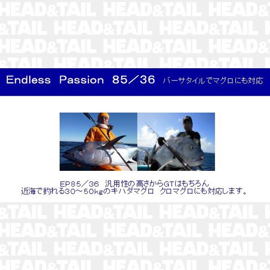 Endress Passion EP85/36 - HEAD & TAIL Web Shop