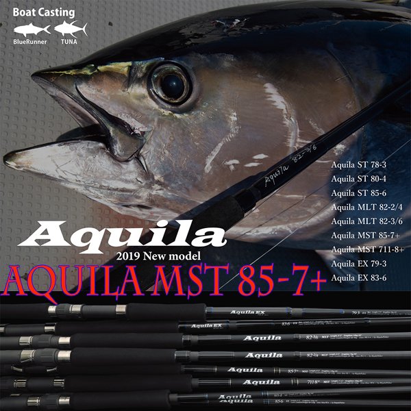 Aquila MST 85-7+ - HEAD & TAIL Web Shop