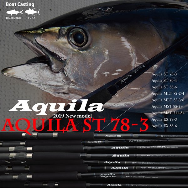 Aquila ST 78-3 - HEAD & TAIL Web Shop