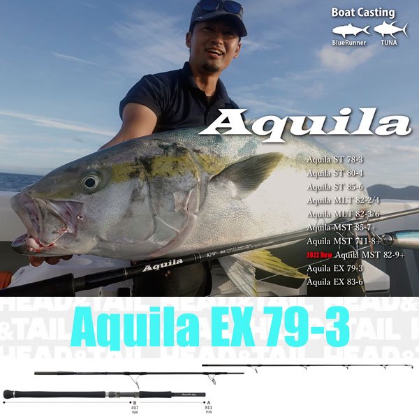 Aquila EX 79-3 - HEAD & TAIL Web Shop