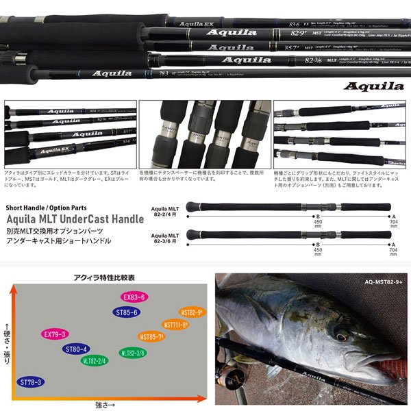 Aquila EX 79-3 - HEAD & TAIL Web Shop