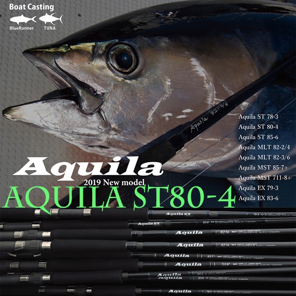 Aquila ST 80-4 - HEAD & TAIL Web Shop