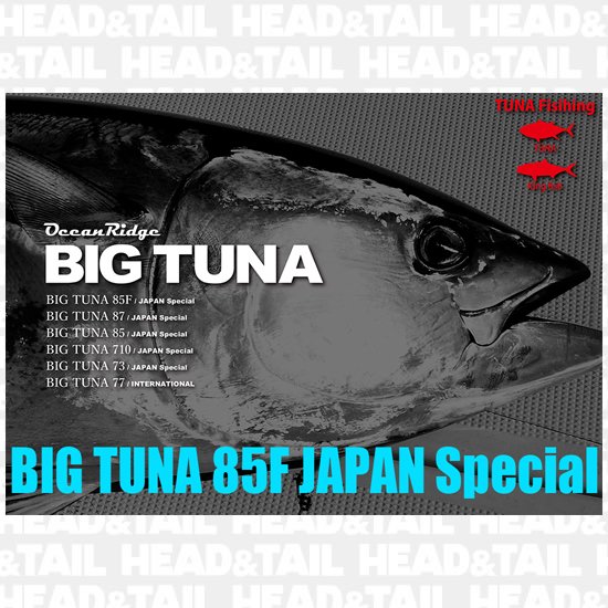 リップルフィッシャー　 BIGＴＵＮＡ85Ｆ　ＪＡＰＡＮ　ＳＰ - HEAD & TAIL Web Shop