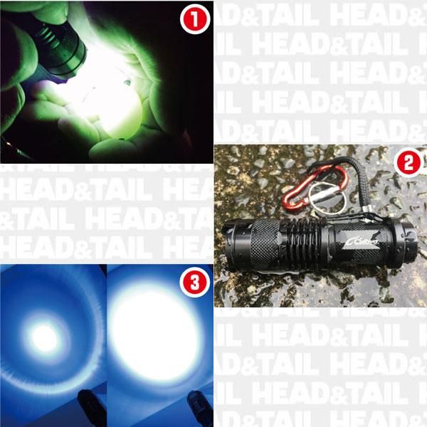 撃投 FT-81最強UVライト - HEAD TAIL Web Shop 撃投 FT-81最強UVライト - HEAD TAIL Web Shop