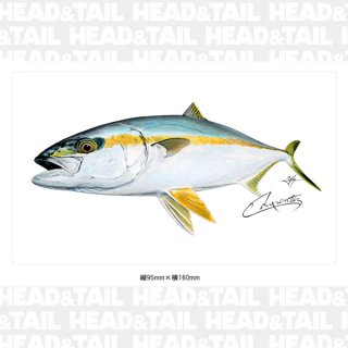 カーペンター - HEAD & TAIL Web Shop