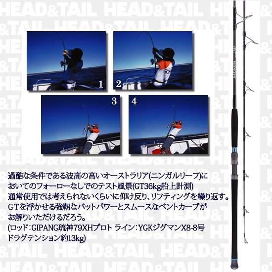 HOT'ジパング琉神 - HEAD & TAIL Web Shop