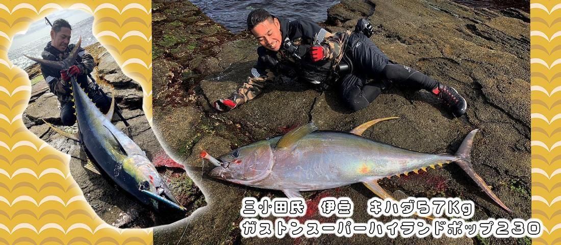 HEAD & TAIL Web Shop