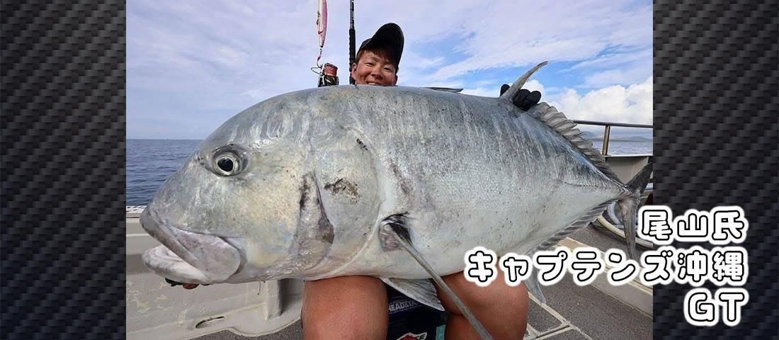マグロ　ヒラマサ　GT　タックルハウス　ソルティアポッパー　3本セット 2025年最新】ソルティアポッパーの人気アイテム - メルカリ