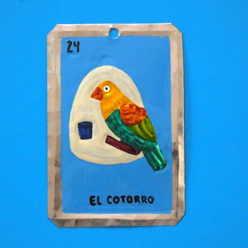 ƥꥢϥ顼/ϥ饿ʥ֥ꥭٹ˥ץ졼ȡإ/EL COTORRO