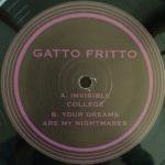 Gatto Fritto - Invisible College
