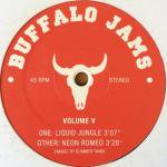 Glimmer Twins - Buffalo Jams Volume V