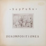 SepPuKu (SPK) - Dekompositiones
