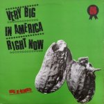Voice Of Authority - Very Big In America Right Now