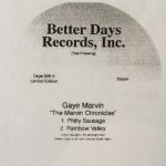 Gaye Marvin - The Marvin Chronicles