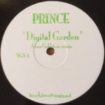 Prince - Digital Garden (Adam Goldstone Remixes)