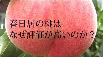 春日居の桃