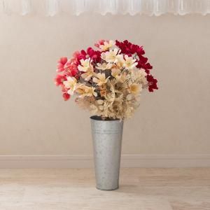 �ߥå��������⥹�֡��� & �֥ꥭ�ݥå�