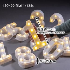 ڥȥåȡLED饤ȥʥС H21cm  09  10ʸå