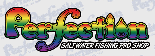 ե祢祷åסPerfection(ѡե)Webå