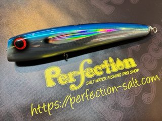 ワイルドギャンブラー】ガネーシャ２００Ｆ／９５ｇ Perfection