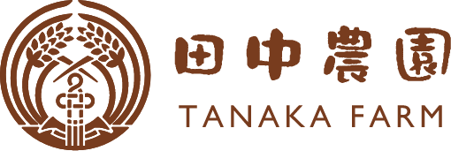 �̳�ƻ����Į �������� �̿�����