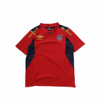 <img class='new_mark_img1' src='https://img.shop-pro.jp/img/new/icons5.gif' style='border:none;display:inline;margin:0px;padding:0px;width:auto;' />FC  Shirt - 2015