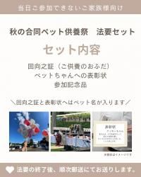 äǤʤ2025ǯ928ڥåȶܺסˡץå